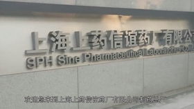 筑安全基石，展绿色宏图 葛洲坝宜城水泥厂多维品牌形象建设